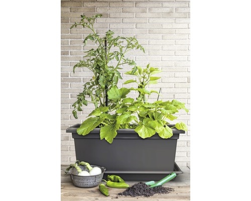 Truhlík plastový Magnus XXL 80 cm antracit