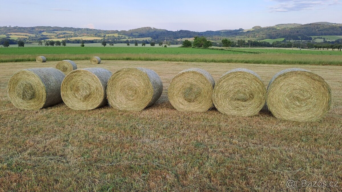 Zemědělská půda - louky - cca 30 hektarů