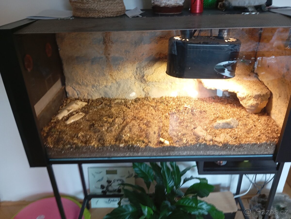 Terárium 100x50x50 cm