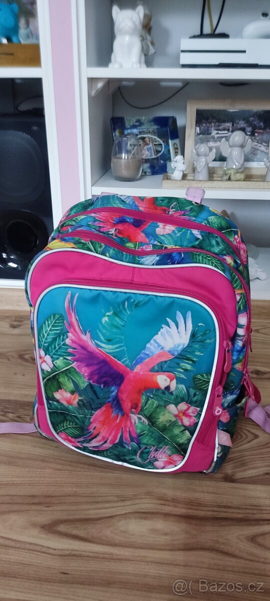 Školní batoh Topgal