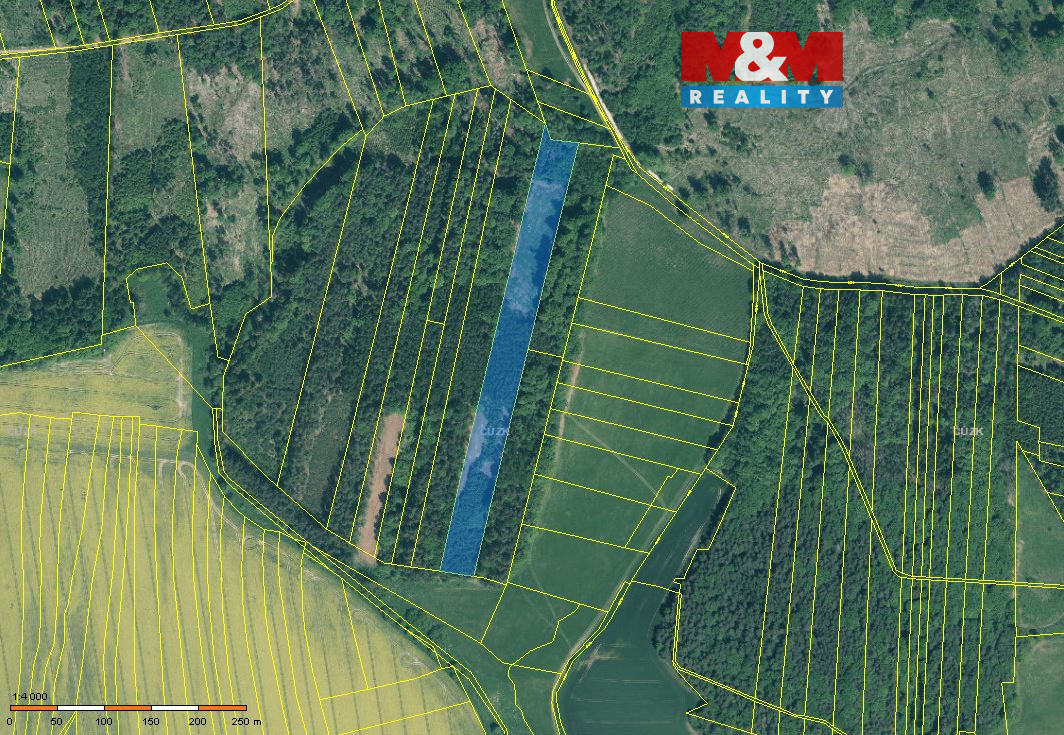Prodej lesa, 17738 m², Jetětice