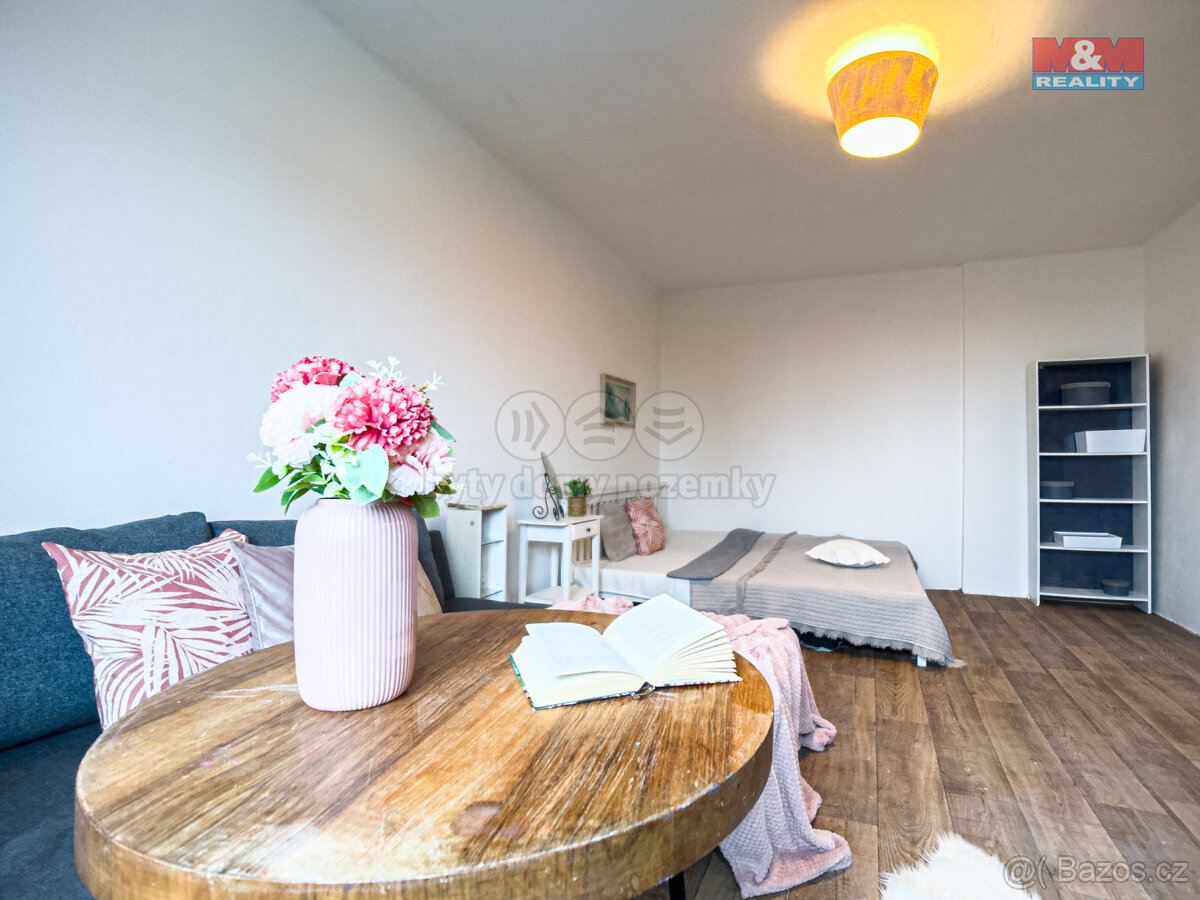 Prodej bytu 1+1, 47 m², Žatec, ul. Pražská