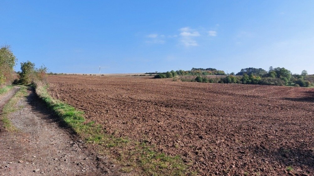 Prodej podílu 1/2 zemědělská půda, 50 474 m2 - Třebíz