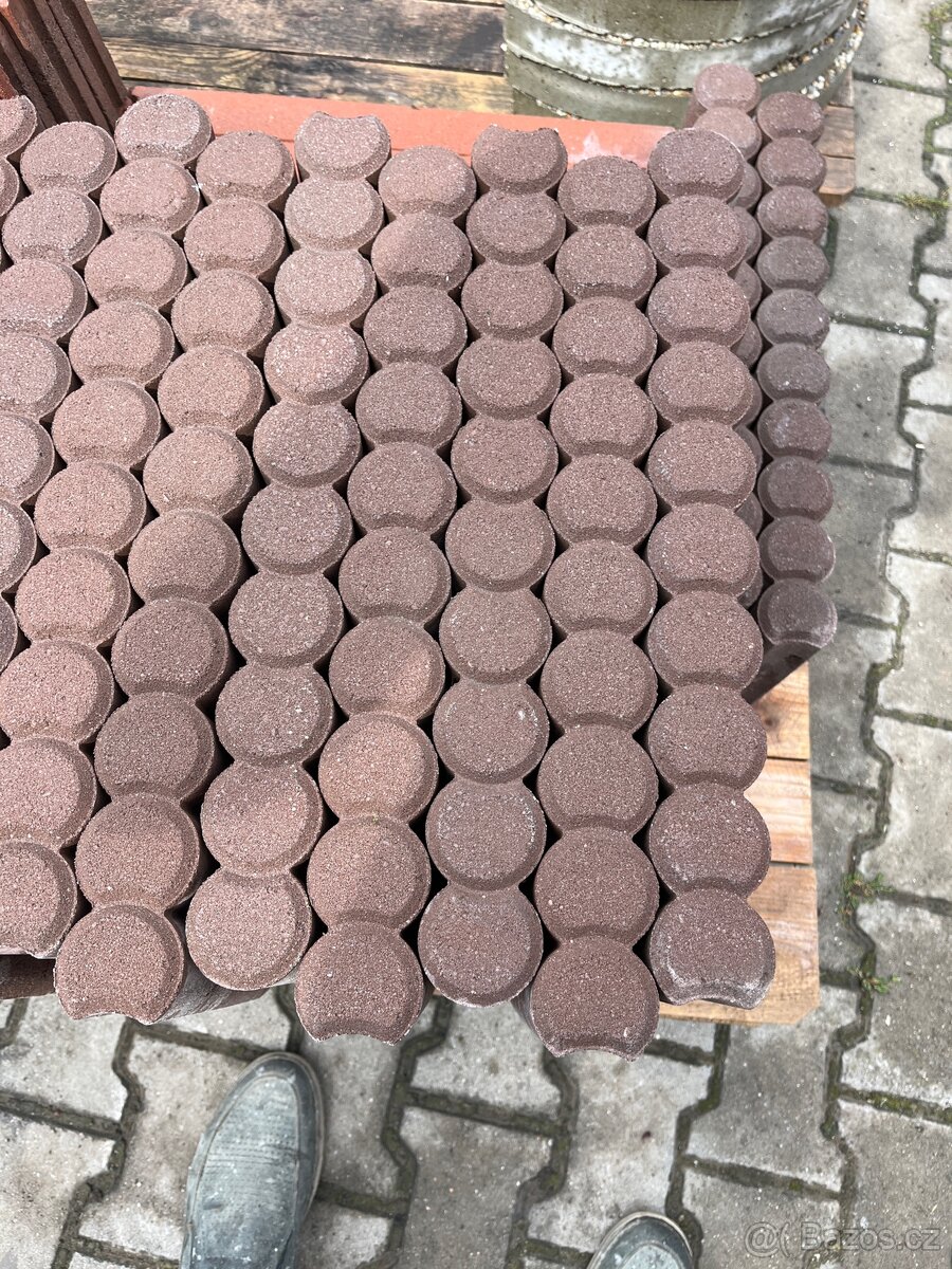 Palisáda hnědá