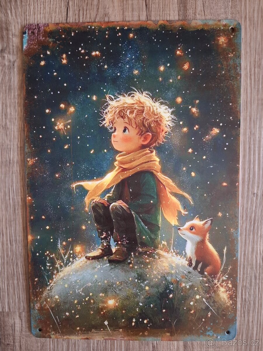 Plechová cedule 20x30cm Malý princ