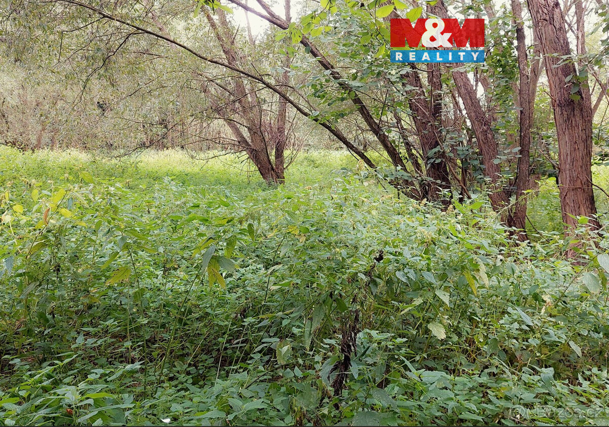 Prodej louky, 682 m², Bystřice, ul. Pod homolí