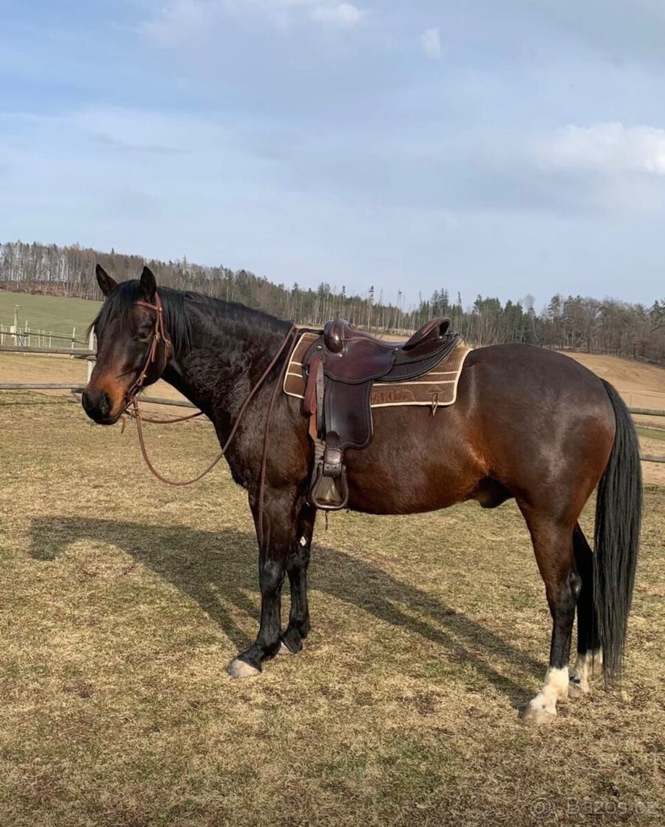 Westernové sedlo bez hrušky