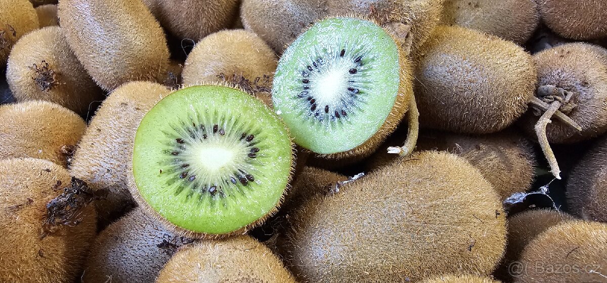 Domácí BIO kiwi