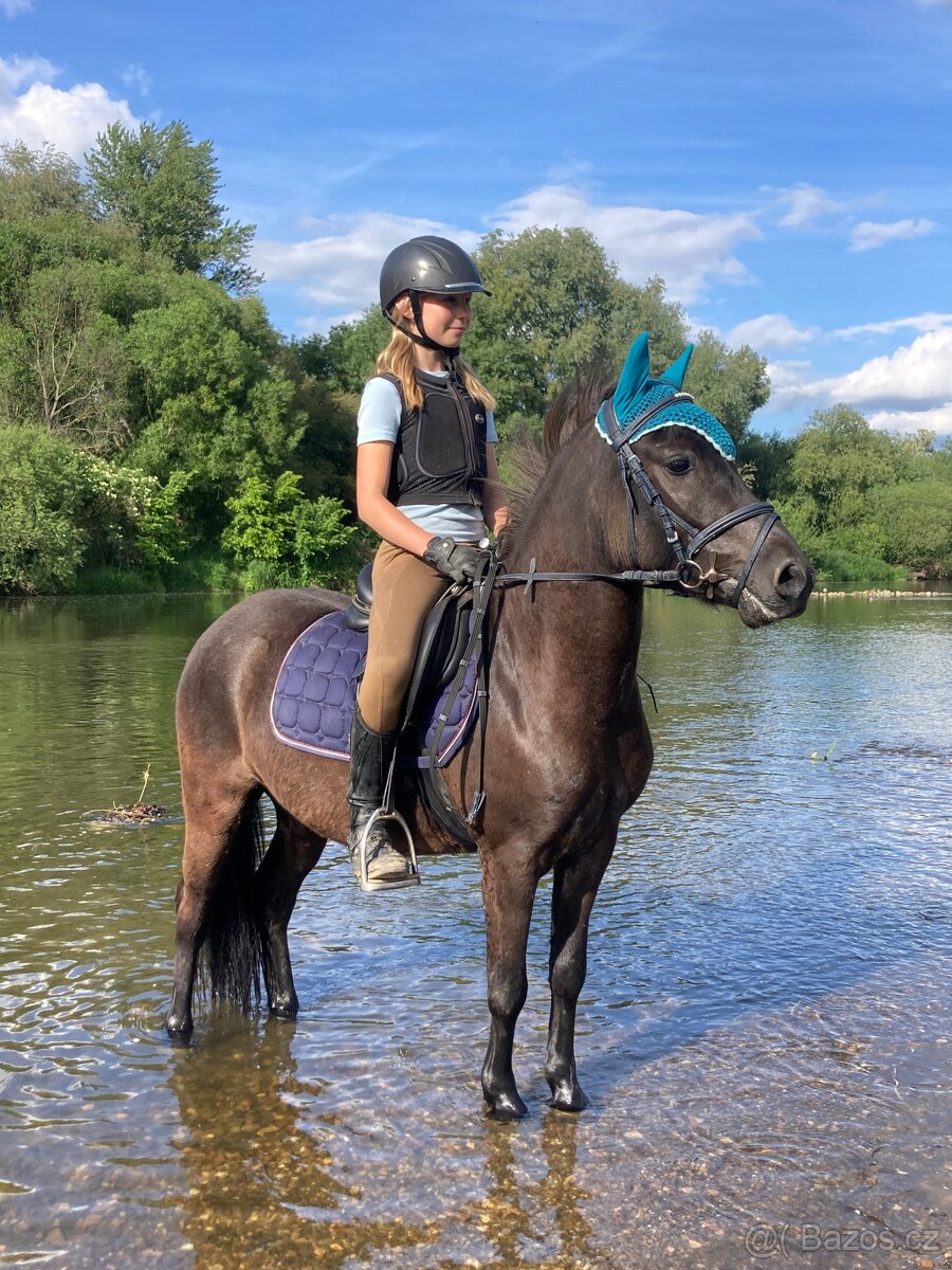 Pony valach 4r - miláček dětí
