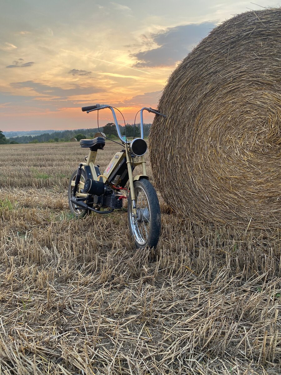 Babetta 210