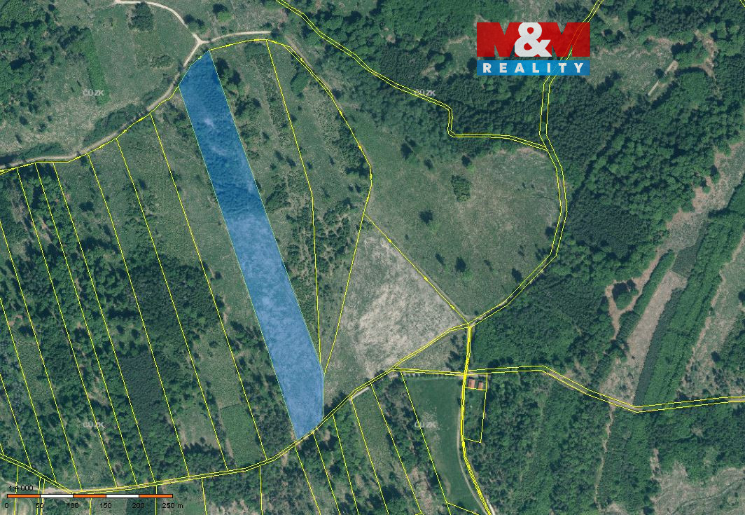 Prodej lesa, 36550 m², Jetětice