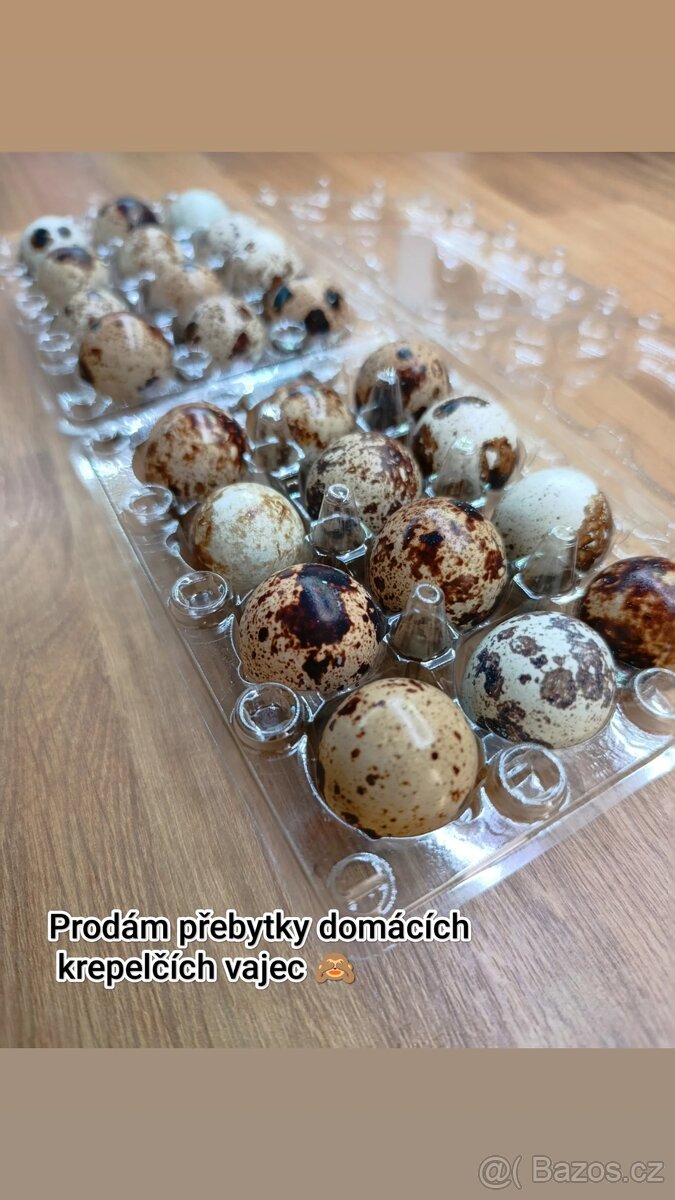 Křepelčí vajíčka