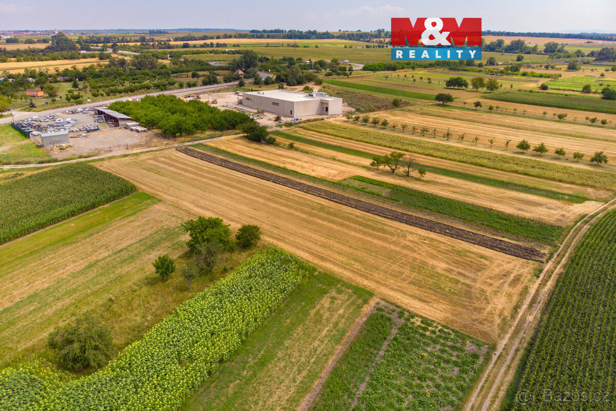 Prodej pozemku, 2005 m², Podivín