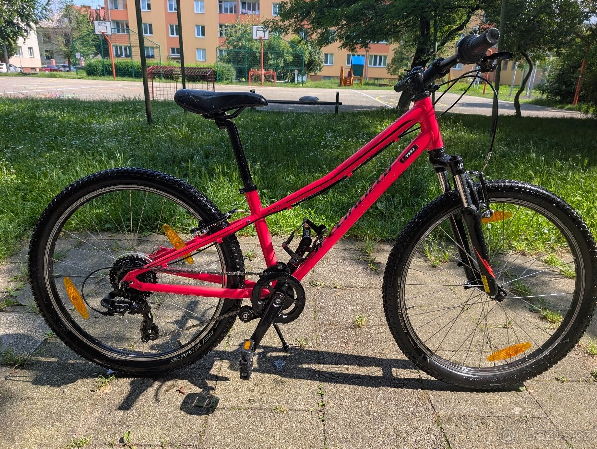 Specialized 24detske horské kolo