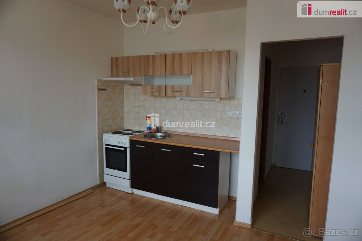 Pronájem slunného bytu 1+1, 36,5m2, Jílové - Kamenná