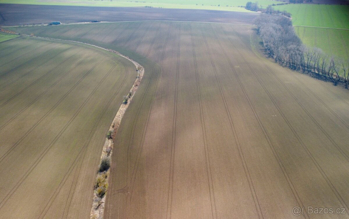 Zemědělská půda, prodej, Velvary, Kladno