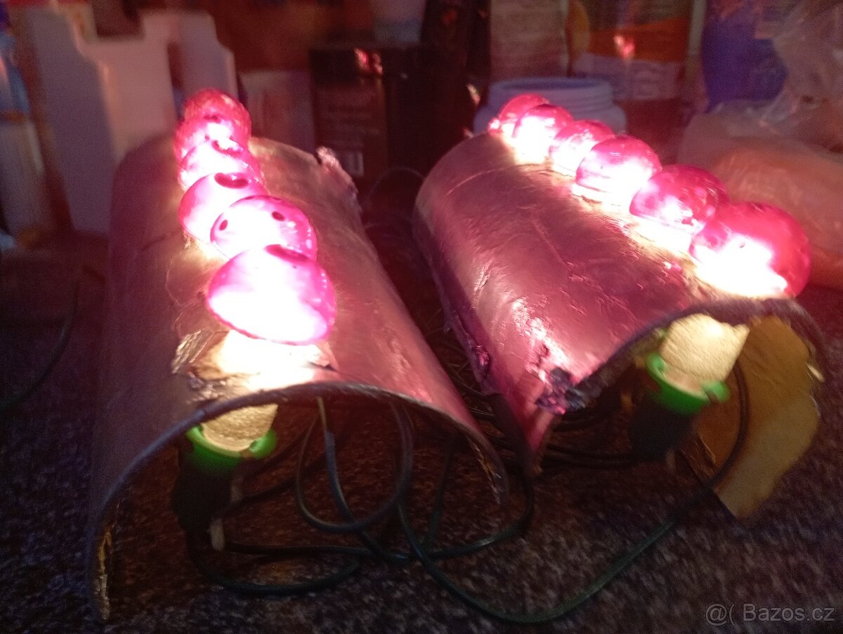 Muchomůrky vánoční