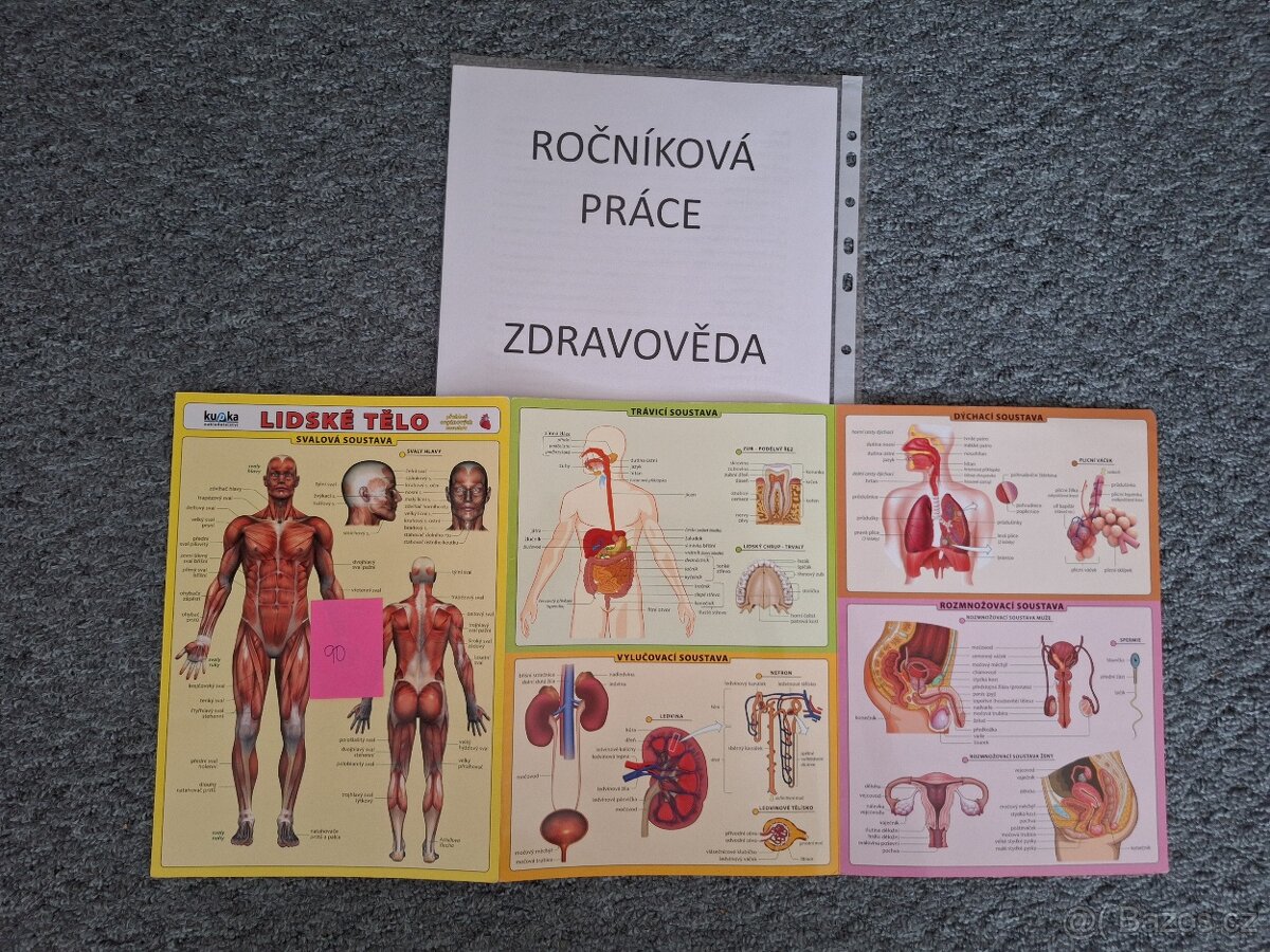 Zdravověda - přehled orgánových soustav + ročníková práce