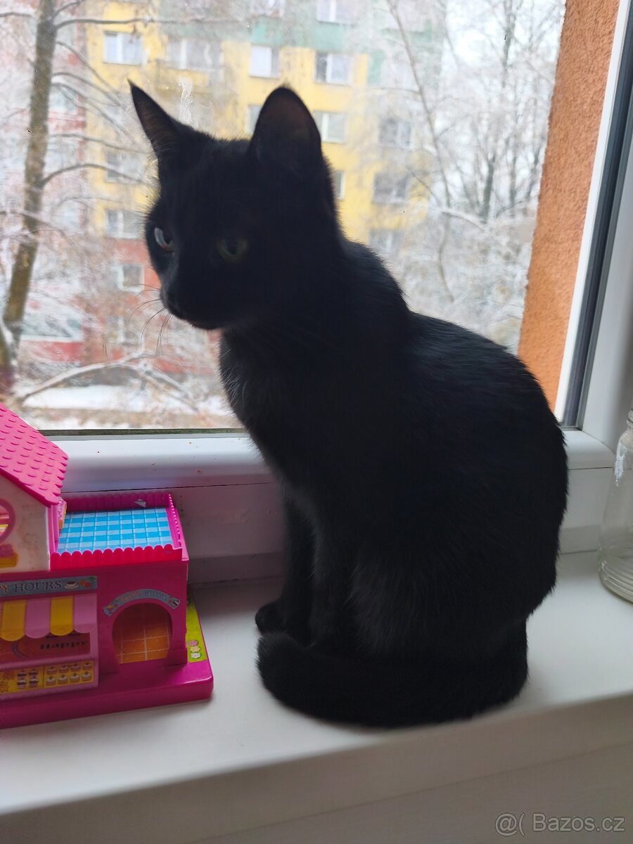 Daruji do dobrých rukou