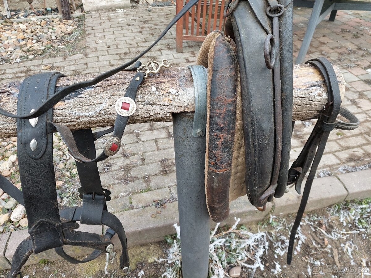 Postroj pro pony nebo osla chomoutovy