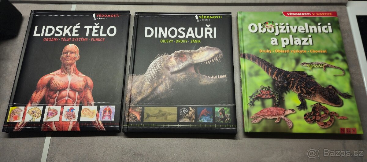 Vědomosti v Kostce (Dinosauři, Lidské Tělo, Obojživelníci)