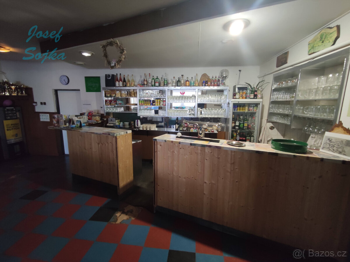 Pronájem restaurace, Deblín, zahrádka 368m2