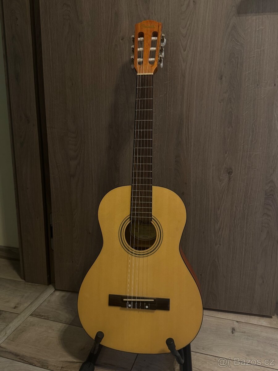 Kytara Fender s obalem