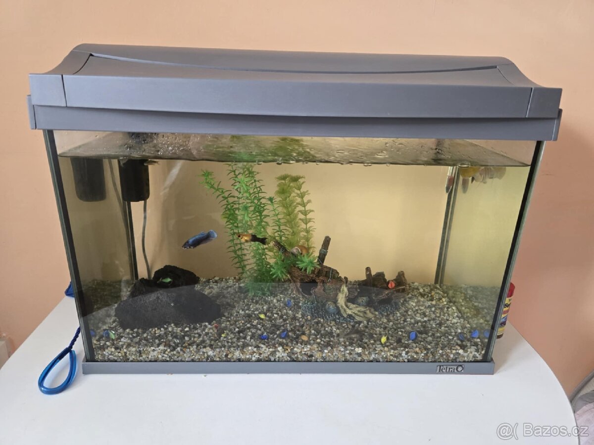 Akvarium