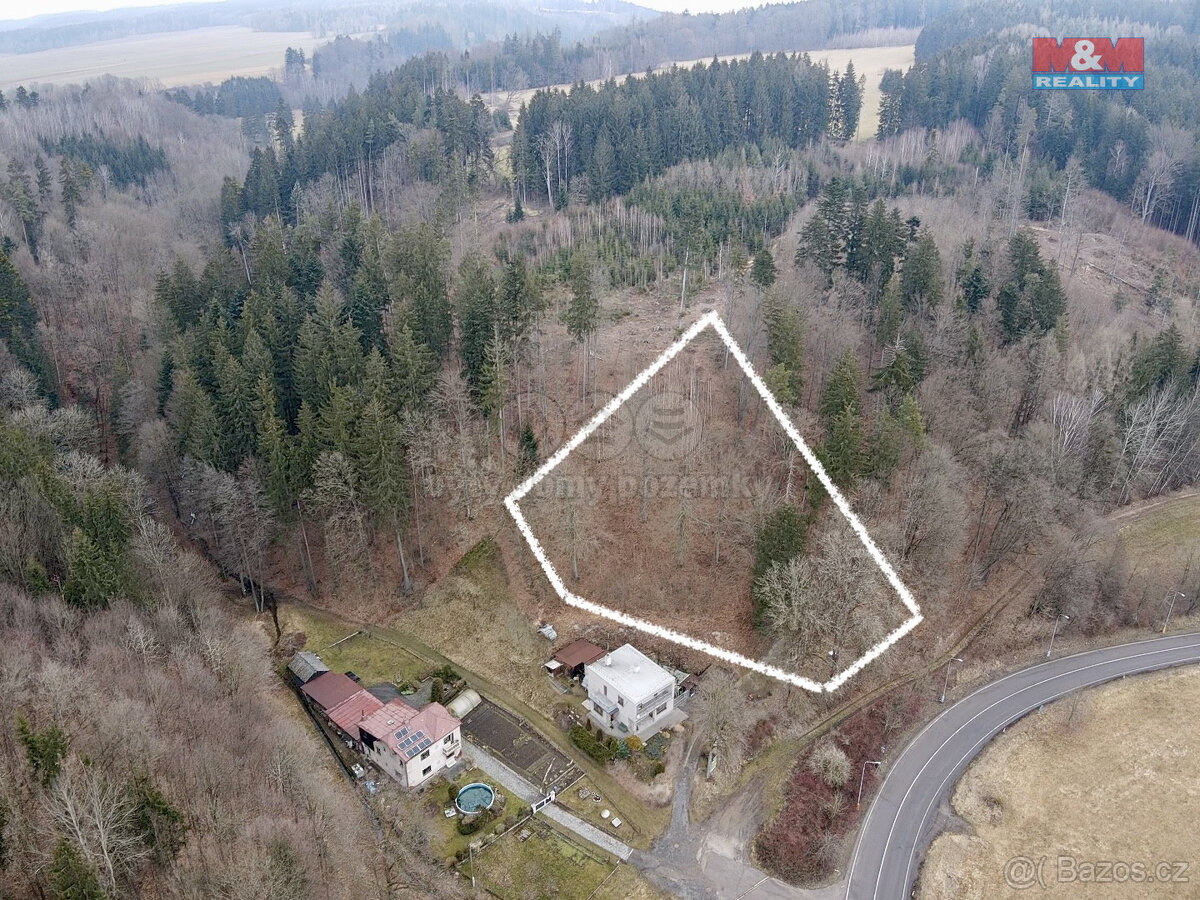Prodej lesa, 2745 m², Ústí nad Orlicí