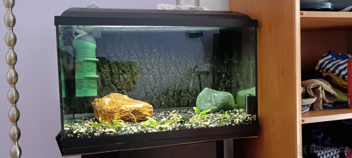 Akvarijní set 60l