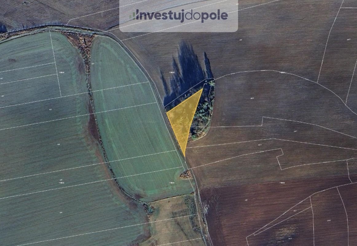 Prodej specifického pozemku 2 938 m², Škvořetice