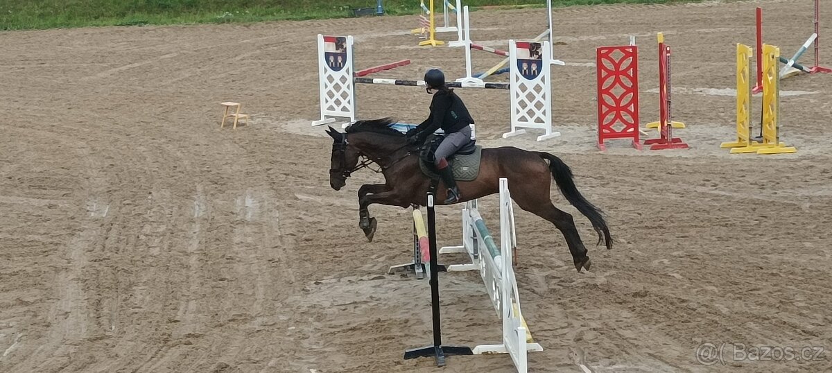 Hledáme nový domov pro našeho parťáka ❤️