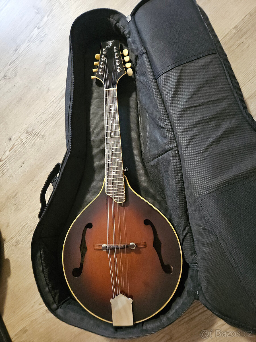 Celomasivní mandolína FURCH Ma 2 A