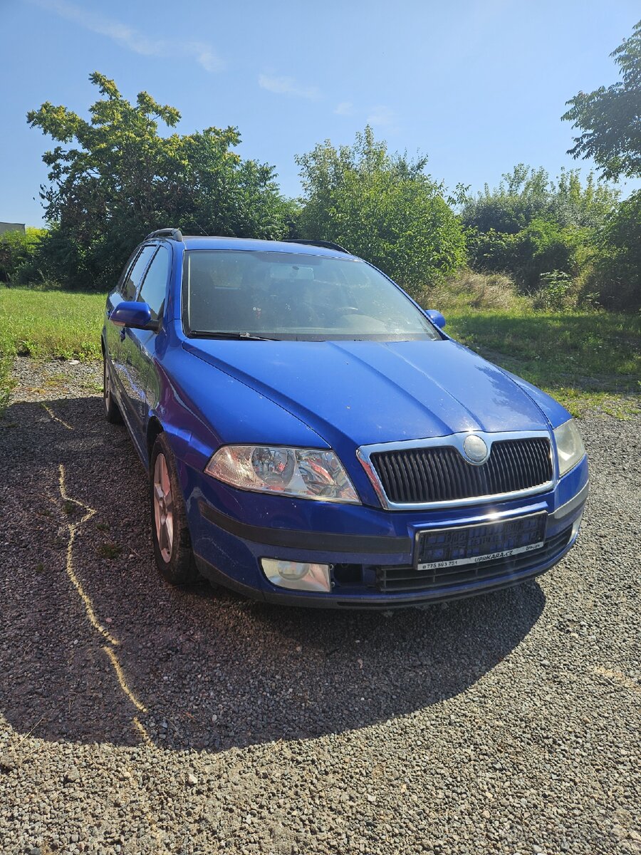 Škoda octavia 2 1.9 TDI