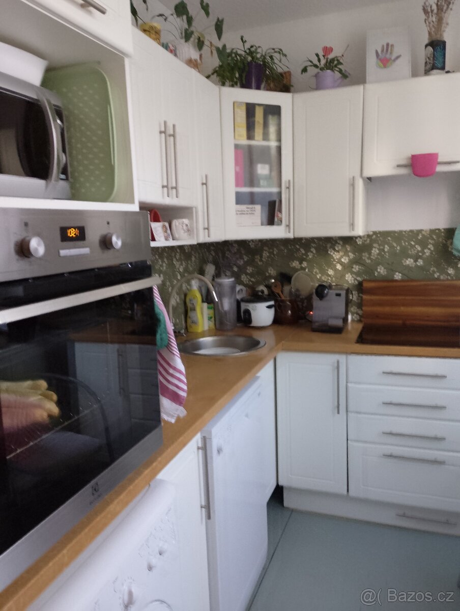 Pronájem / bez realitky/bytu  2+1 a šatník a balkon a .65 m2