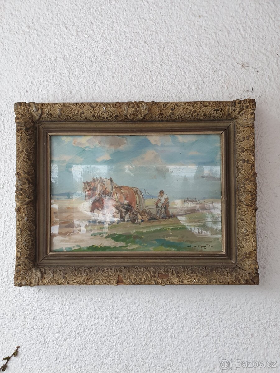 OBRAZ č.11- František Hoplíček