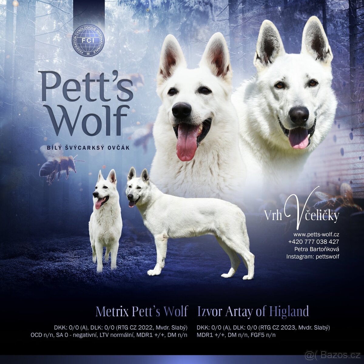 Bílý švýcarský ovčák s PP