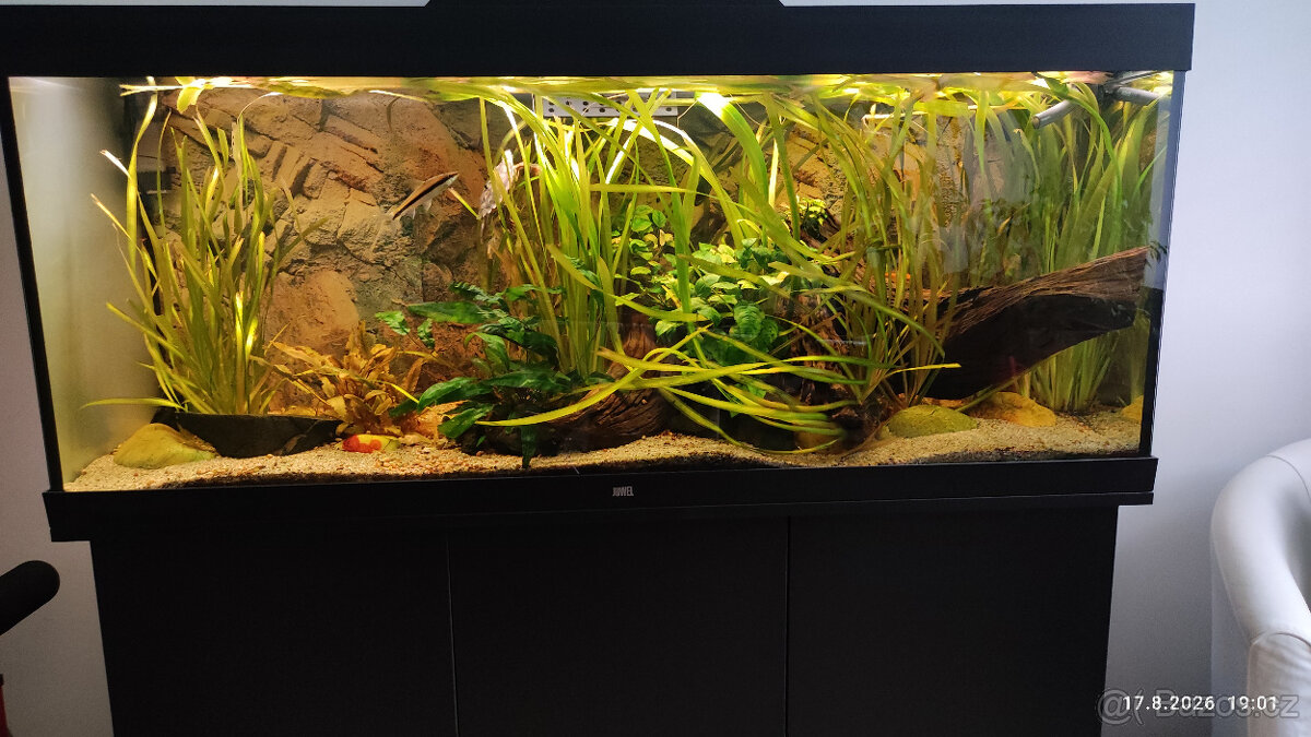 Juwel RIO 450