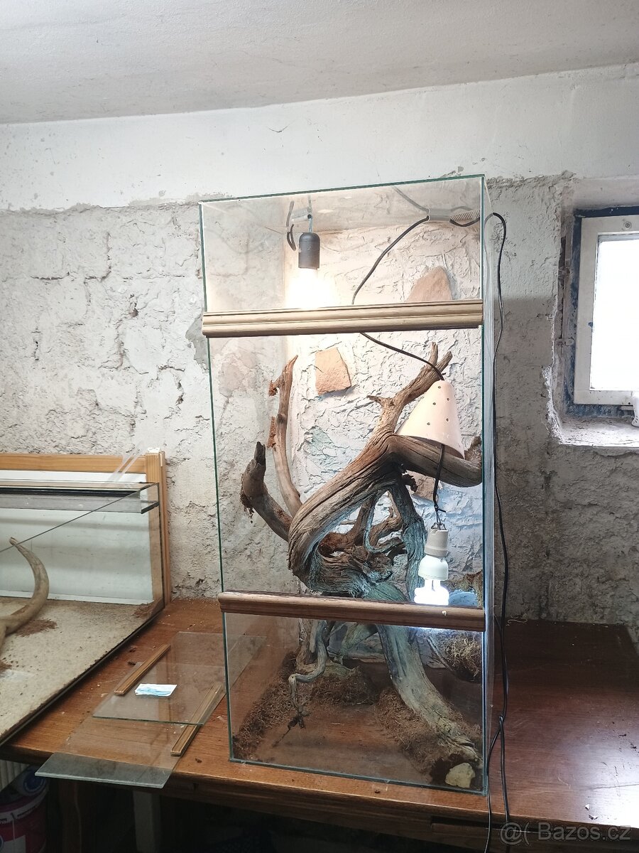 Terárium velké