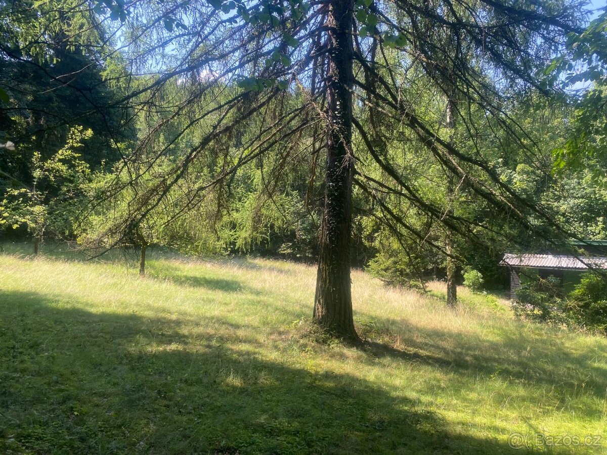 Pozemek 4.690m2 s chatou v Beskydech obec Metylovice