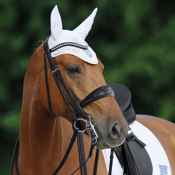 Drezurní uzda Passier, vel. cob NOVÁ