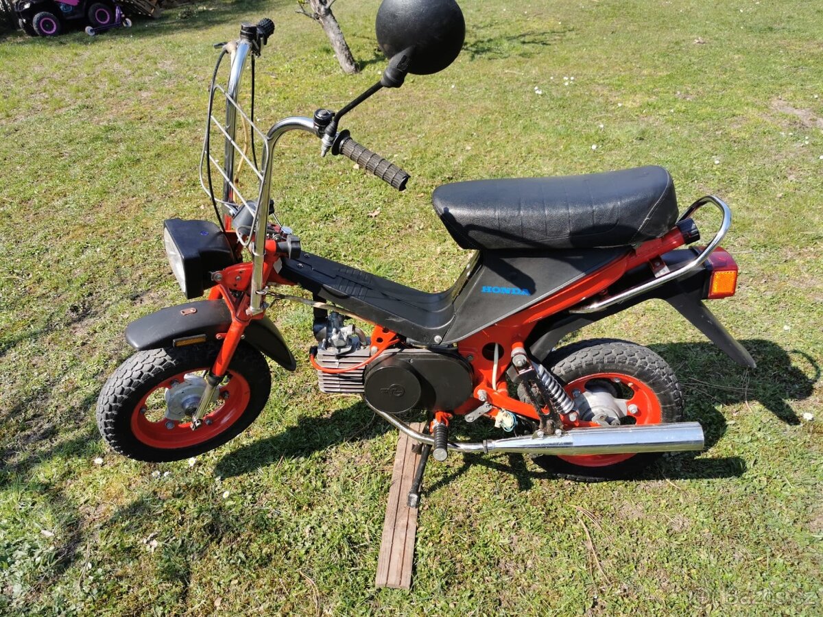 Prodam Bebettu Stella