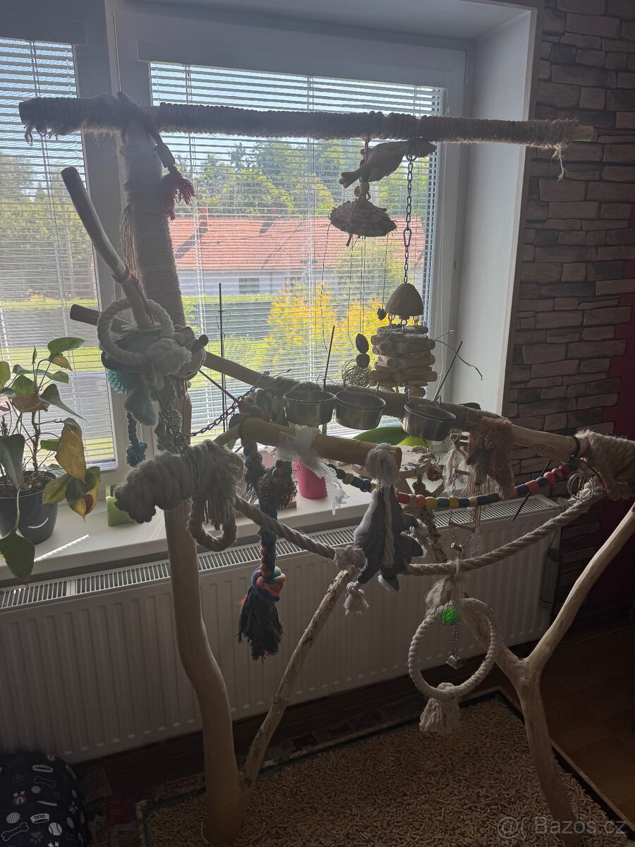 Ptačí strom parkos