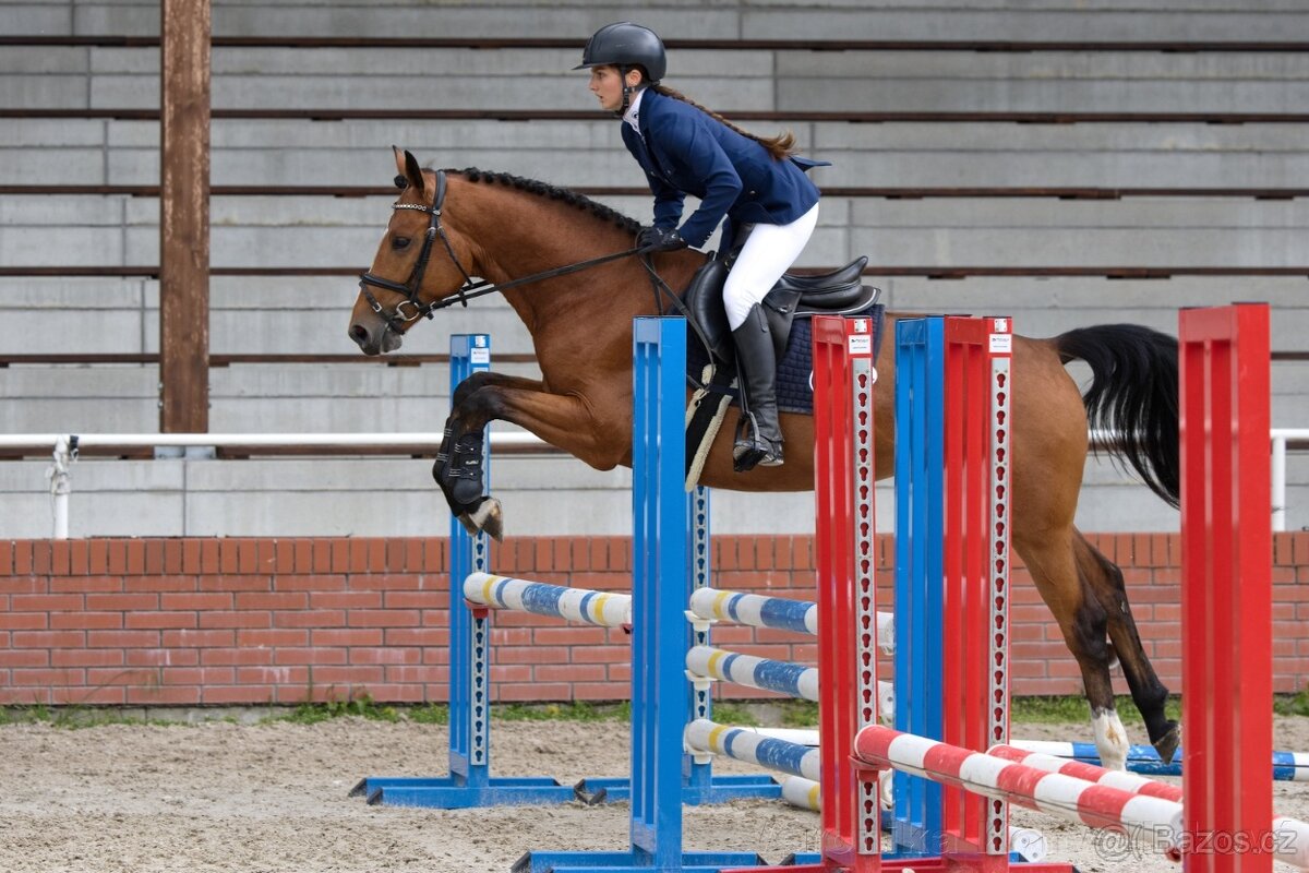 Merlin po Heartvit ZH