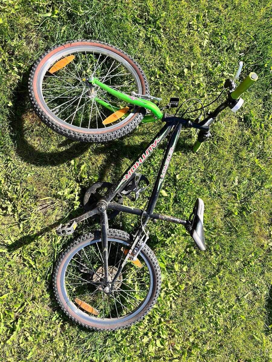 Kolo 20, 24, dospělé