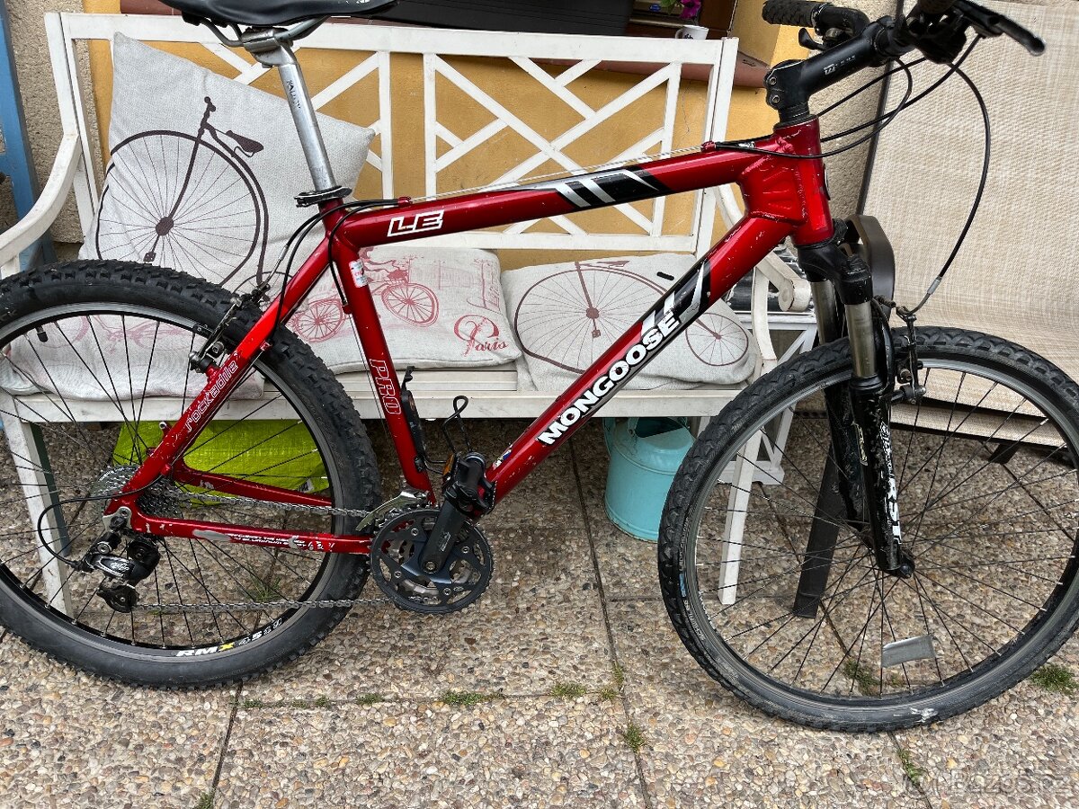 Mongoose Pro 19”