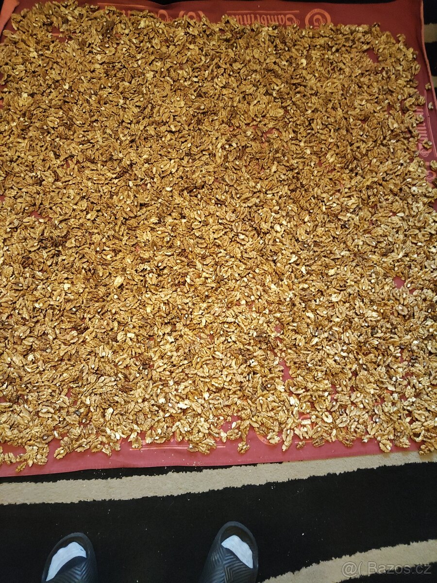Prodám oloupané vlašské ořechy