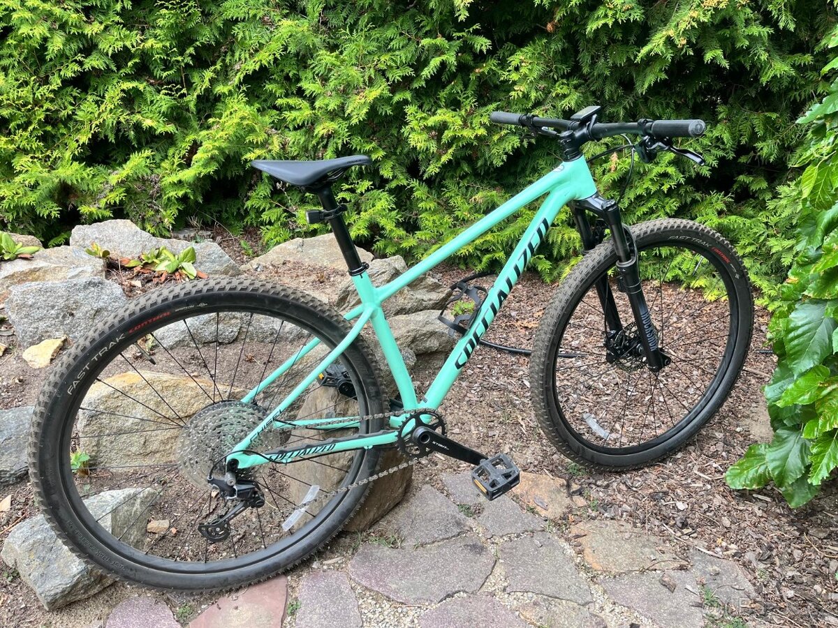 Horské kolo Specialized Chisel - Oasis/Forest Green