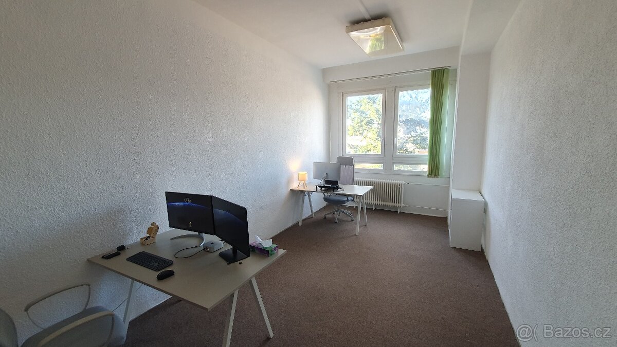 Pracovní místo ve sdílené kanceláři
