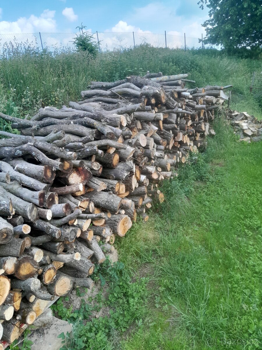 Dřevo